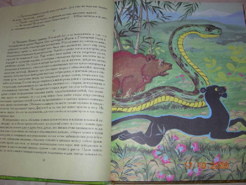 Иллюстрация 15 из 26 для Маугли - Редьярд Киплинг | Лабиринт - книги. Источник: Соловей