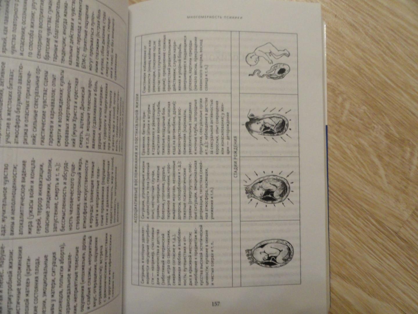Иллюстрация 5 из 35 для За пределами мозга. Рождение, смерть и трансценденция в психотерапии - Станислав Гроф | Лабиринт - книги. Источник: Nox