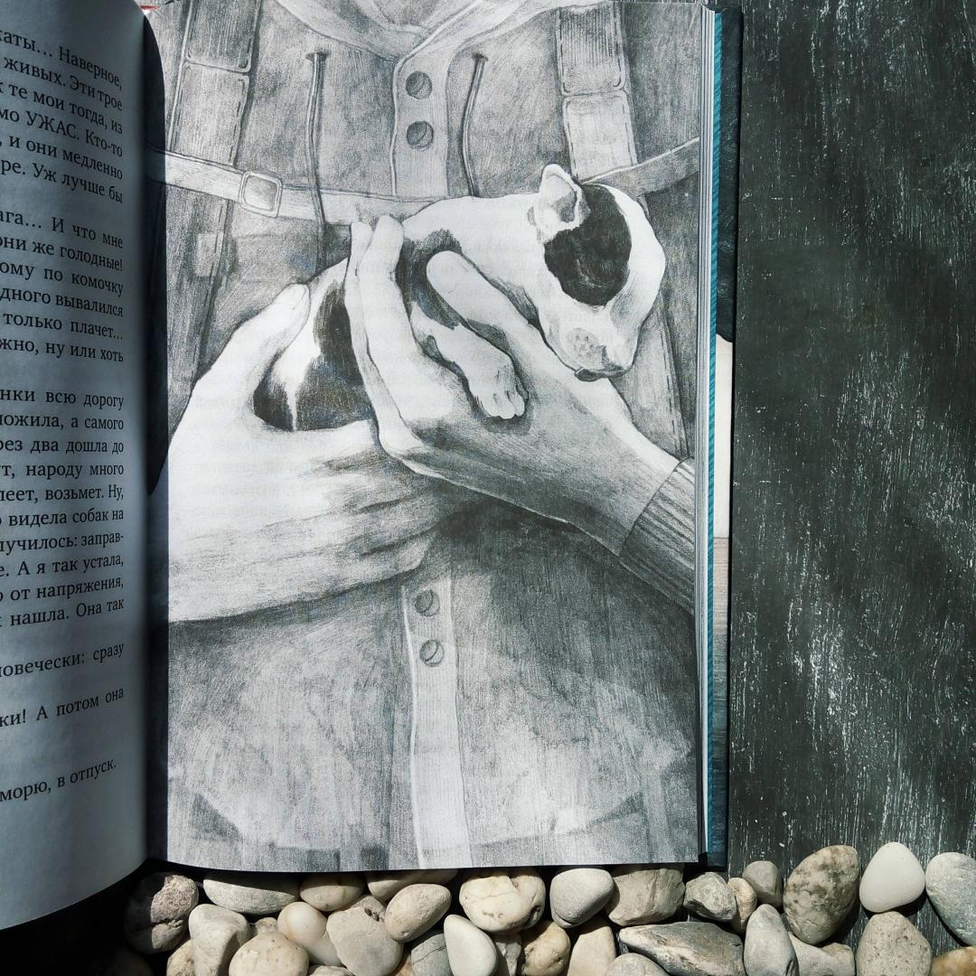 Иллюстрация 36 из 40 для Доплыть до грота - Тамара Михеева | Лабиринт - книги. Источник: bookchik