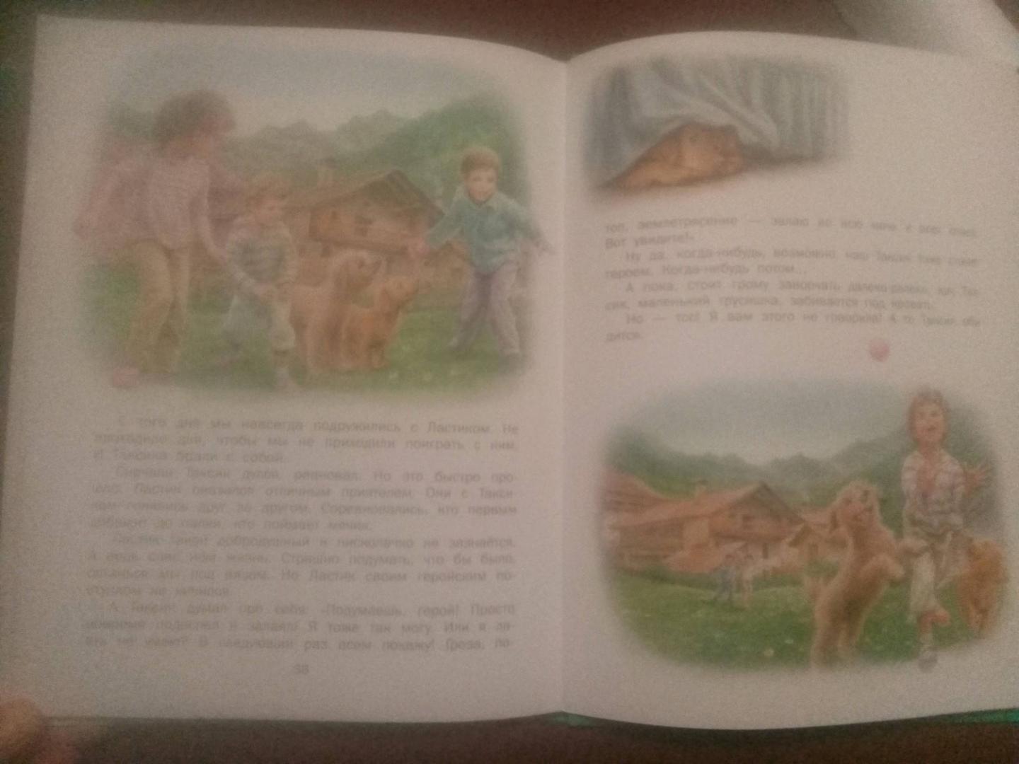 Иллюстрация 44 из 45 для Маруся - подружка всех зверят. В лесу. В деревне - Делаэ, Марлье | Лабиринт - книги. Источник: Слушкина  Рамиля