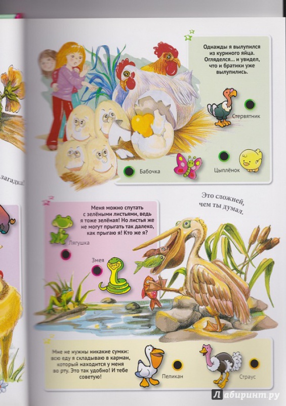 Иллюстрация 31 из 42 для Для малышей загадки о животных | Лабиринт - книги. Источник: Моисеева  Ирина