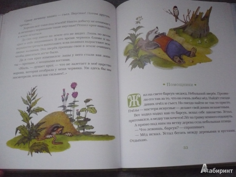 Иллюстрация 27 из 42 для Хитрый волк - Владимир Зотов | Лабиринт - книги. Источник: angela_kvitka