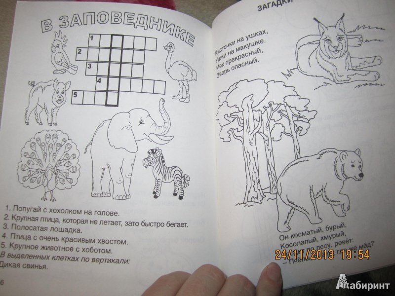 Иллюстрация 6 из 38 для Детские задачки и игры - Марина Дружинина | Лабиринт - книги. Источник: Годакова  Марина