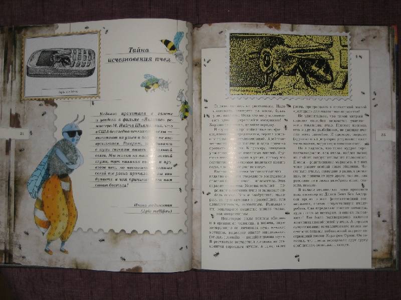 Иллюстрация 25 из 103 для Письма насекомых - Ольга Кувыкина | Лабиринт - книги. Источник: Трухина Ирина