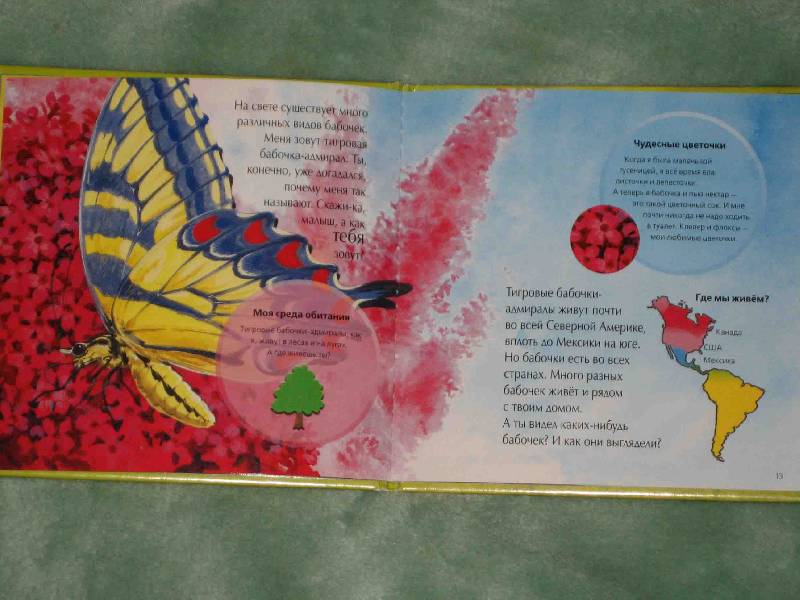 Иллюстрация 8 из 10 для Лети, бабочка, лети! | Лабиринт - книги. Источник: Трухина Ирина