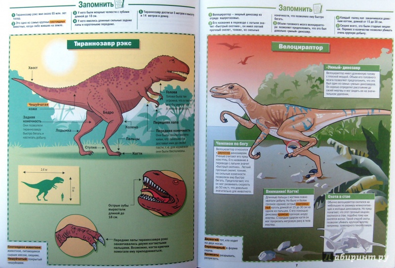 Иллюстрация 6 из 7 для Динозавры | Лабиринт - книги. Источник: Соловьев  Владимир