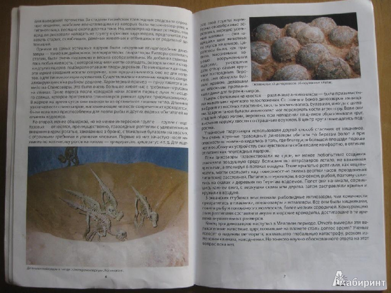 Иллюстрация 5 из 14 для Все о динозаврах | Лабиринт - книги. Источник: Чешева  Олеся