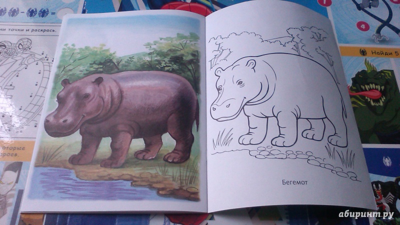 Иллюстрация 17 из 17 для Первые уроки. Раскраска "Животные жарких стран" | Лабиринт - книги. Источник: Mila