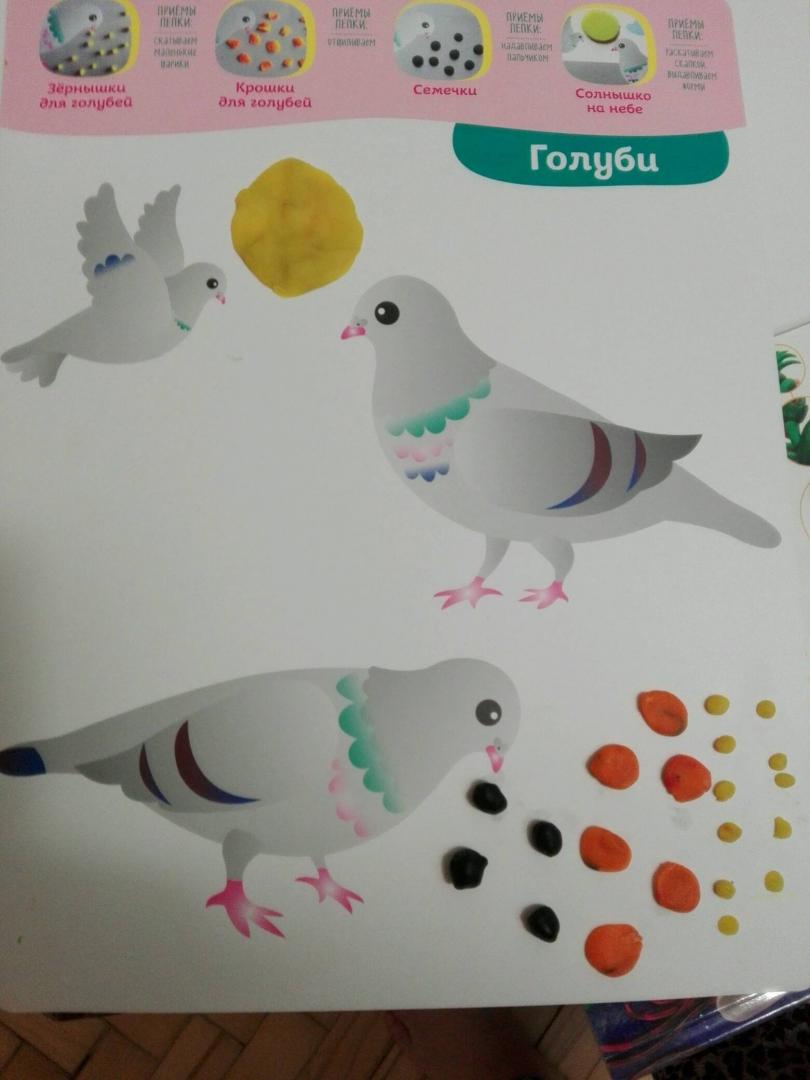 Иллюстрация 58 из 68 для Многоразовые развивающие карточки. Лепка для малышей от 1 года до 2 лет - Елена Янушко | Лабиринт - игрушки. Источник: Наталья
