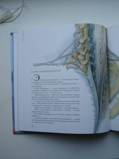 Иллюстрация 39 из 60 для Тайны анатомии - Кэрол Доннер | Лабиринт - книги. Источник: Blackboard_Writer