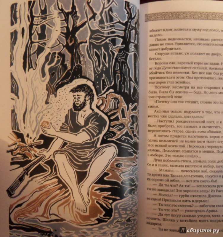 Иллюстрация 20 из 33 для Золотая лихорадка - Николай Задорнов | Лабиринт - книги. Источник: Елена