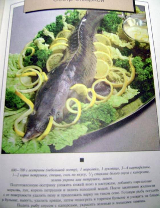 Иллюстрация 28 из 35 для Книга о вкусной и здоровой пище - Николай Могильный | Лабиринт - книги. Источник: Batterfly