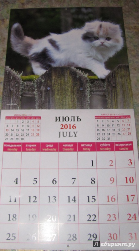 Иллюстрация 10 из 13 для Календарь настенный на 2016 год "Котята" (70605) | Лабиринт - сувениры. Источник: V  Marisha