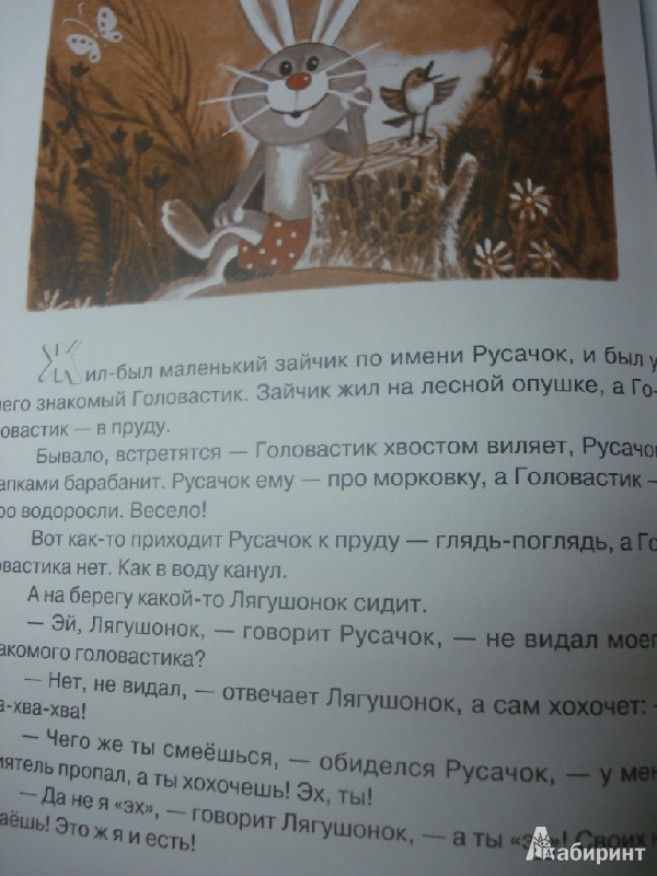 Иллюстрация 9 из 82 для Русачок - Борис Заходер | Лабиринт - книги. Источник: marpol