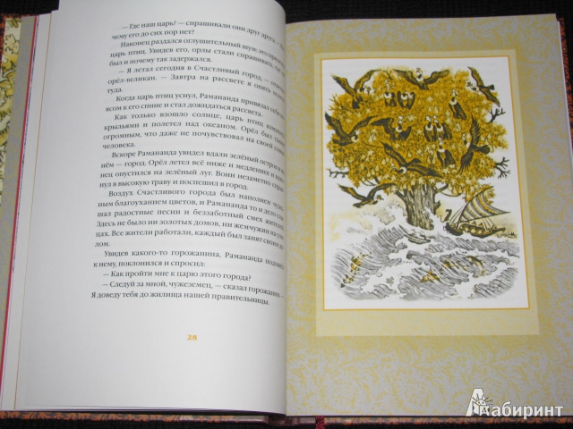 Иллюстрация 79 из 84 для Волшебная чаша: индийские сказки - Нисон Ходза | Лабиринт - книги. Источник: Nemertona