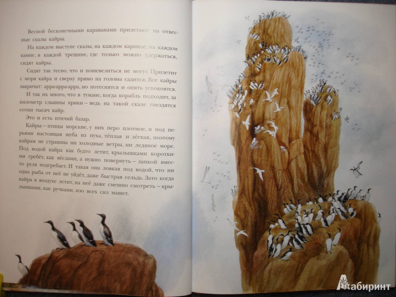 Иллюстрация 4 из 58 для Рассказы о природе, о птицах зверях и разных краях - Геннадий Снегирев | Лабиринт - книги. Источник: Сорокина  Лариса
