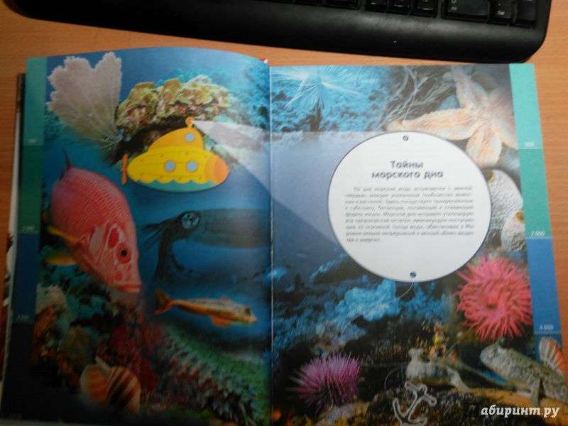 Иллюстрация 24 из 30 для Жизнь океана - Александр Тихонов | Лабиринт - книги. Источник: Горяева  Любовь