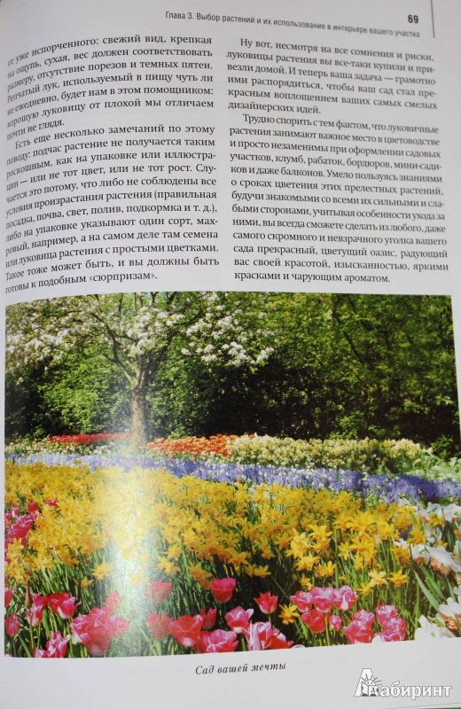 Иллюстрация 4 из 4 для Луковичные цветы: выбираем, выращиваем, наслаждаемся - Лариса Петровская | Лабиринт - книги. Источник: Easy