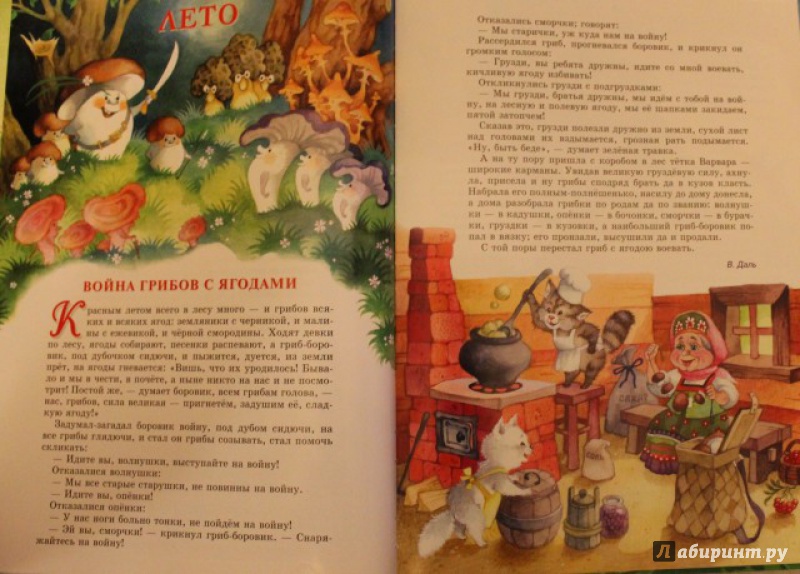 Иллюстрация 34 из 55 для Времена года | Лабиринт - книги. Источник: Дьячкова  Ольга Николаевна