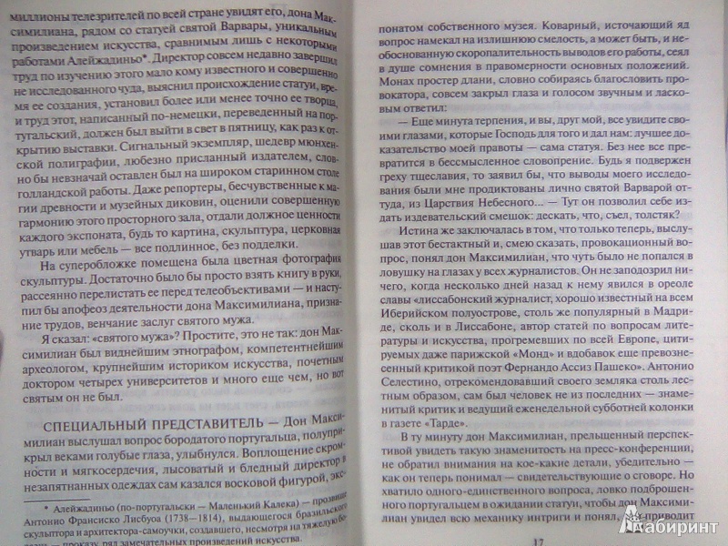 Иллюстрация 10 из 35 для Исчезновение святой - Жоржи Амаду | Лабиринт - книги. Источник: Салус