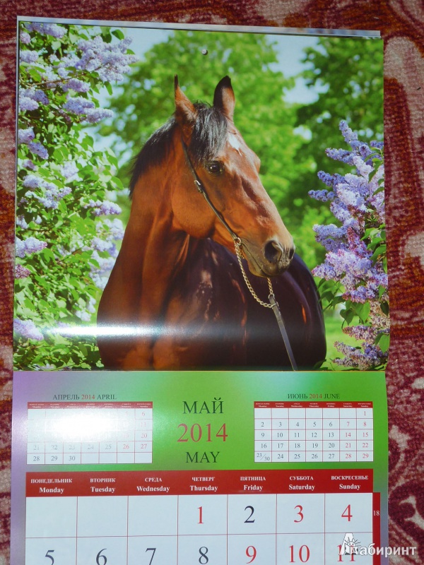 Иллюстрация 8 из 16 для Календарь 2014 "Год лошади" | Лабиринт - сувениры. Источник: Шубина  Диана Владимировна
