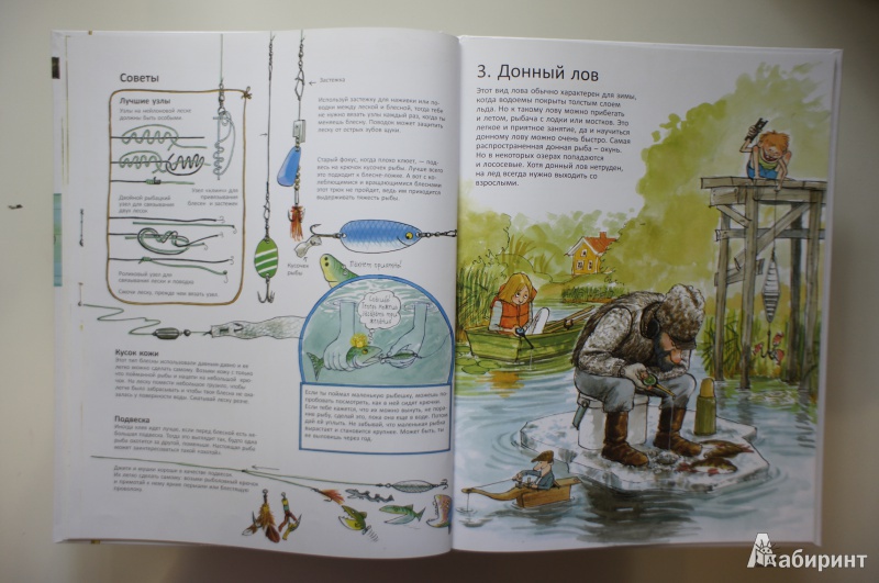Иллюстрация 16 из 60 для Книга для начинающих великих рыболовов - Нурдквист, Вернер-Карлссон | Лабиринт - книги. Источник: Осипьюк  Марина Сергеевна