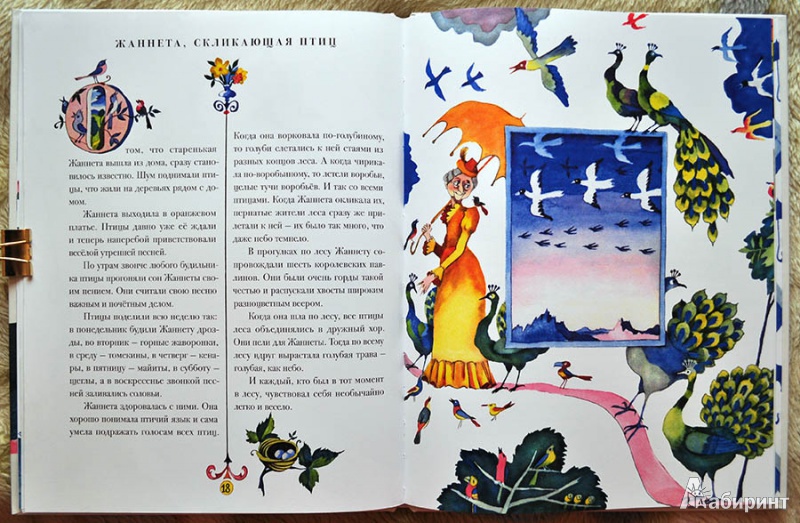 Иллюстрация 15 из 31 для Старушки с зонтиками - Лопес Кофиньо | Лабиринт - книги. Источник: Раскова  Юлия