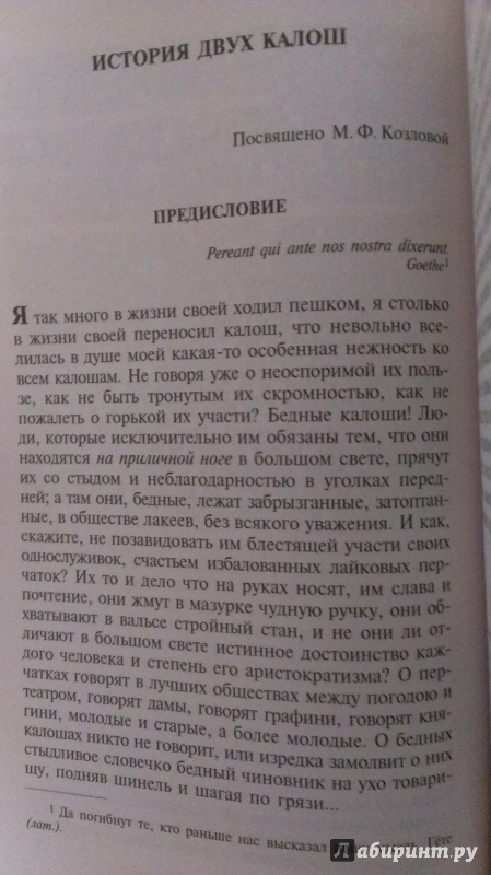 Иллюстрация 24 из 31 для Тарантас - Владимир Соллогуб | Лабиринт - книги. Источник: Подмосковная панда