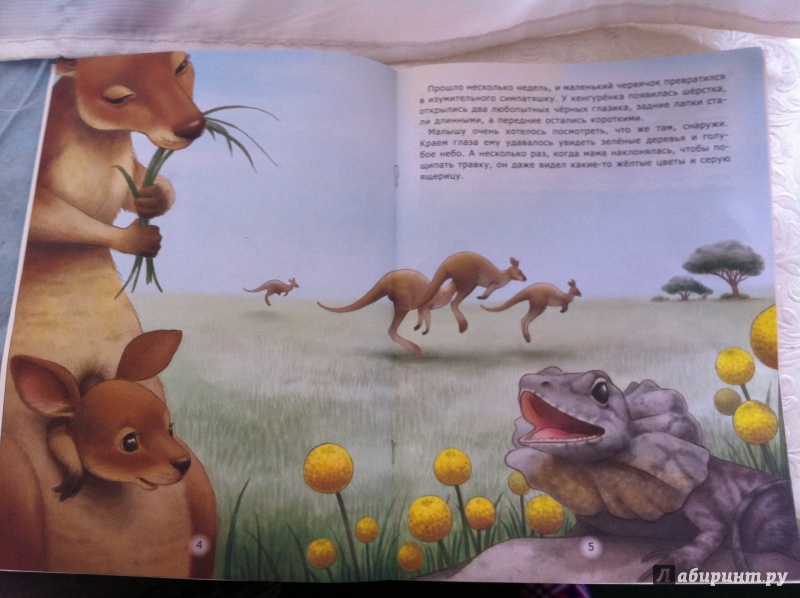 Иллюстрация 21 из 22 для Домик кенгуренка - Лариса Тарасенко | Лабиринт - книги. Источник: Haliullina  Sony