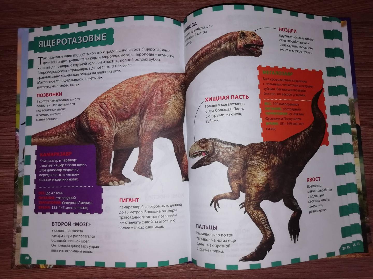 Иллюстрация 19 из 36 для Динозавры | Лабиринт - книги. Источник: Kate