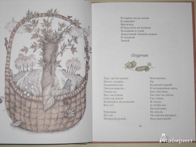 Иллюстрация 52 из 56 для Потерялась птица в небе - Ирина Пивоварова | Лабиринт - книги. Источник: Cherepashka