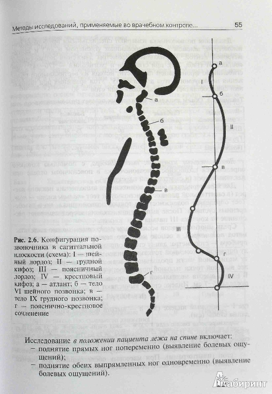 Иллюстрация 5 из 17 для Восстановительная медицина. Учебник - Виталий Епифанов | Лабиринт - книги. Источник: ВраЧиталла