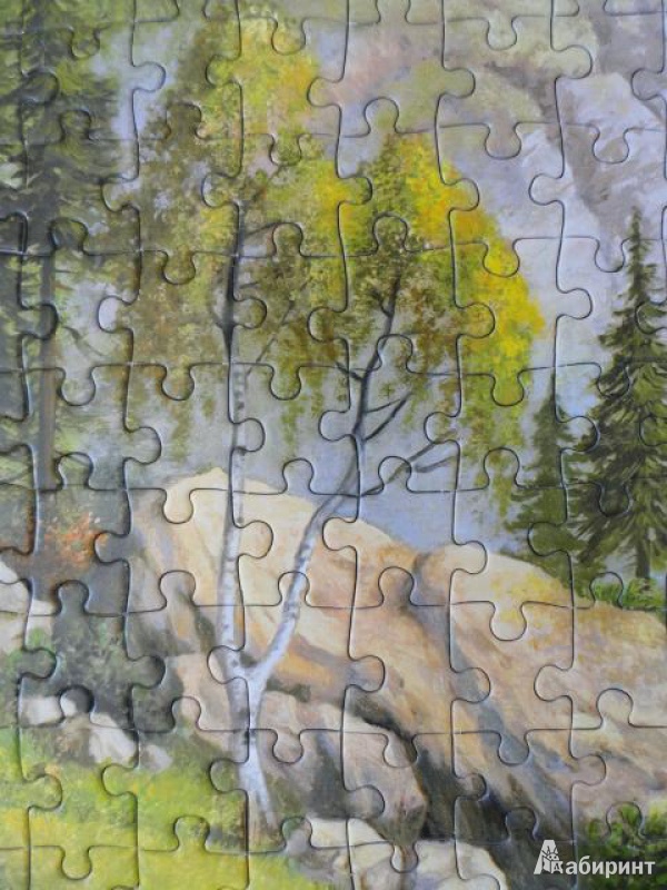 Иллюстрация 6 из 14 для Puzzle-1000. Домик в горах (С-101634) | Лабиринт - игрушки. Источник: Филипова  Ася