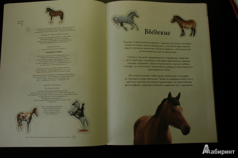 Иллюстрация 2 из 19 для Лошади и пони. Забавные наклейки | Лабиринт - книги. Источник: Busyay