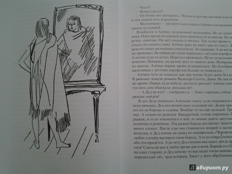 Иллюстрация 13 из 15 для Президент Каменного острова - Вильям Козлов | Лабиринт - книги. Источник: Olga