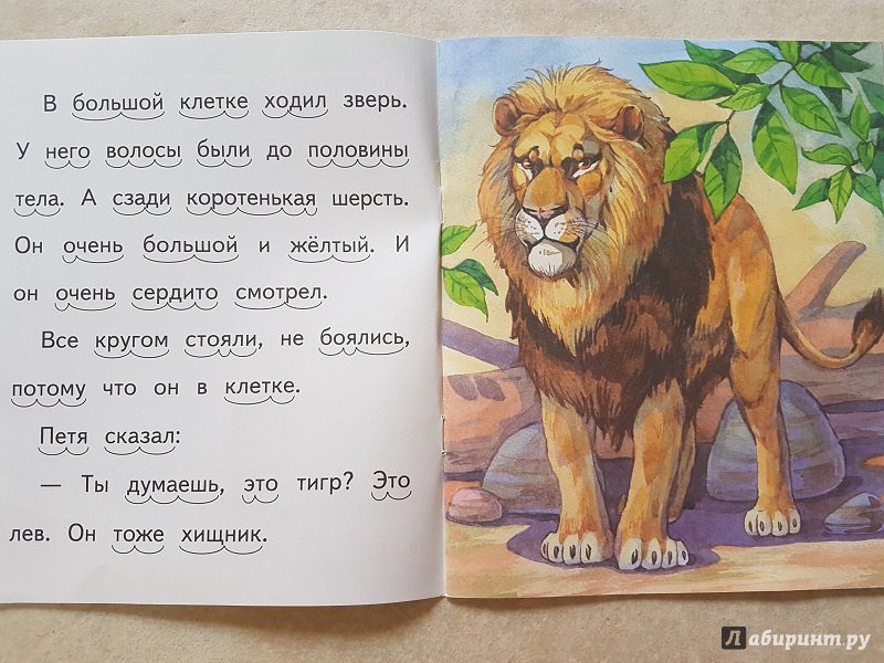 Читать 3 льва. Сказка про Льва. Лев рассказ для детей. История про Льва для детей. Предложение про Льва.