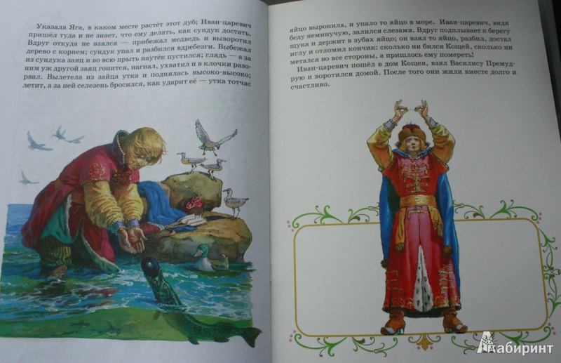 Иллюстрация 1 из 28 для Царевна-лягушка | Лабиринт - книги. Источник: Вольга