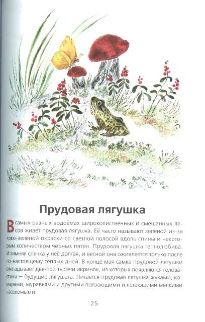 Иллюстрация 7 из 33 для Животные нашей страны - Владимир Храбрый | Лабиринт - книги. Источник: bel-k