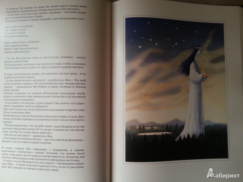 Иллюстрация 8 из 9 для Джоконда и Принцесса из леса (+CD) - Андрей Семин-Вадов | Лабиринт - книги. Источник: pankratova_i@mail.ru