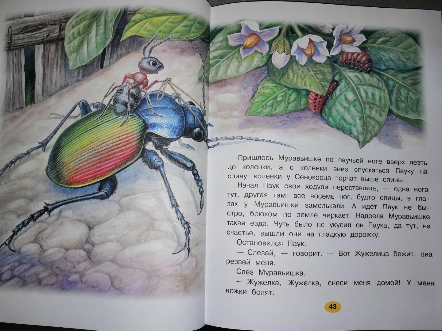 Иллюстрация 25 из 36 для Лучшие сказки для мальчиков. С простыми подсказками для умных родителей - Бианки, Коростылев, Катаев | Лабиринт - книги. Источник: Олеся