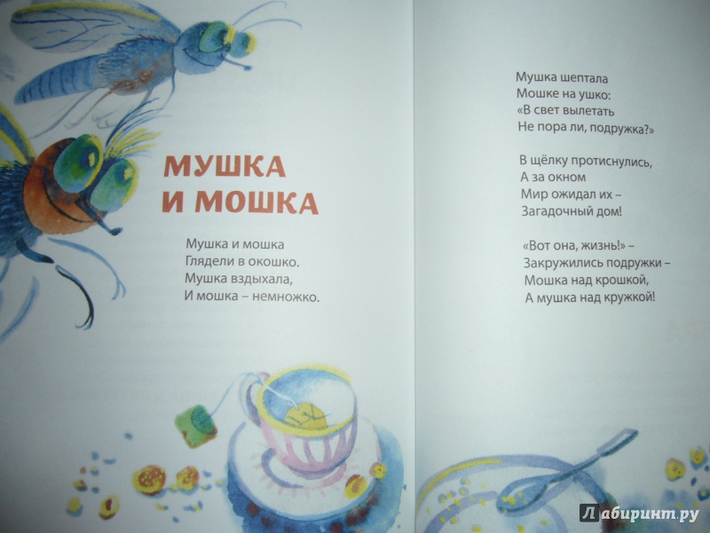 Иллюстрация 16 из 37 для Ромашки - Анастасия Орлова | Лабиринт - книги. Источник: Божья  Коровка