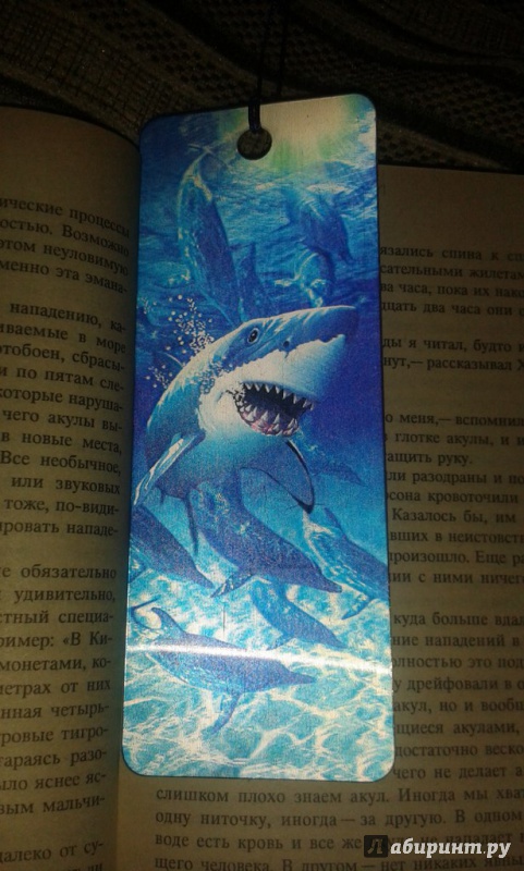 Иллюстрация 3 из 4 для 3D закладка для книг с линейкой "Акула" (125751) | Лабиринт - канцтовы. Источник: Соколенко  Света