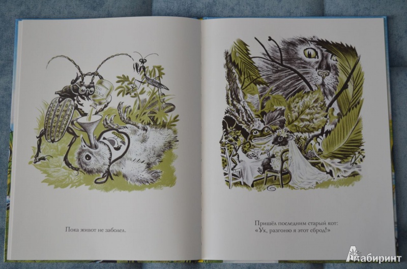 Иллюстрация 21 из 46 для Лягушонок женится - Джон Лангстафф | Лабиринт - книги. Источник: Zifa82