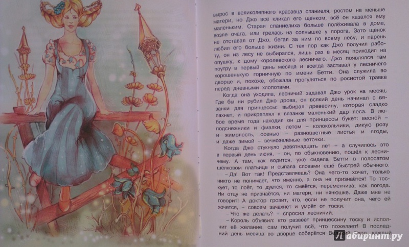 Иллюстрация 35 из 53 для Седьмая принцесса - Элинор Фарджон | Лабиринт - книги. Источник: Katty