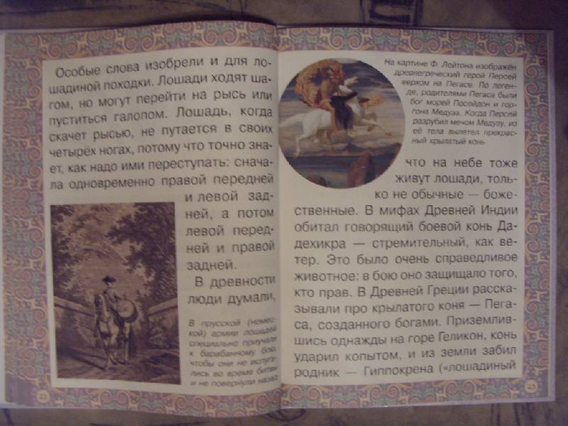 Иллюстрация 14 из 17 для Наша добрая лошадка - Наталия Ермильченко | Лабиринт - книги. Источник: Золотая рыбка