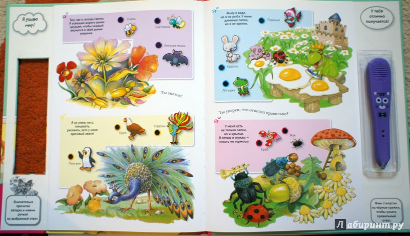 Иллюстрация 34 из 42 для Для малышей загадки о животных | Лабиринт - книги. Источник: Швыркова  Ольга