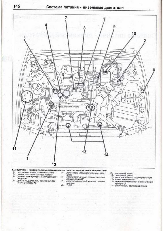 Иллюстрация 3 из 6 для Руководство по ремонту  и эксплуатации Nissan Primera Р11 1995-2001гг выпуска | Лабиринт - книги. Источник: Ялина