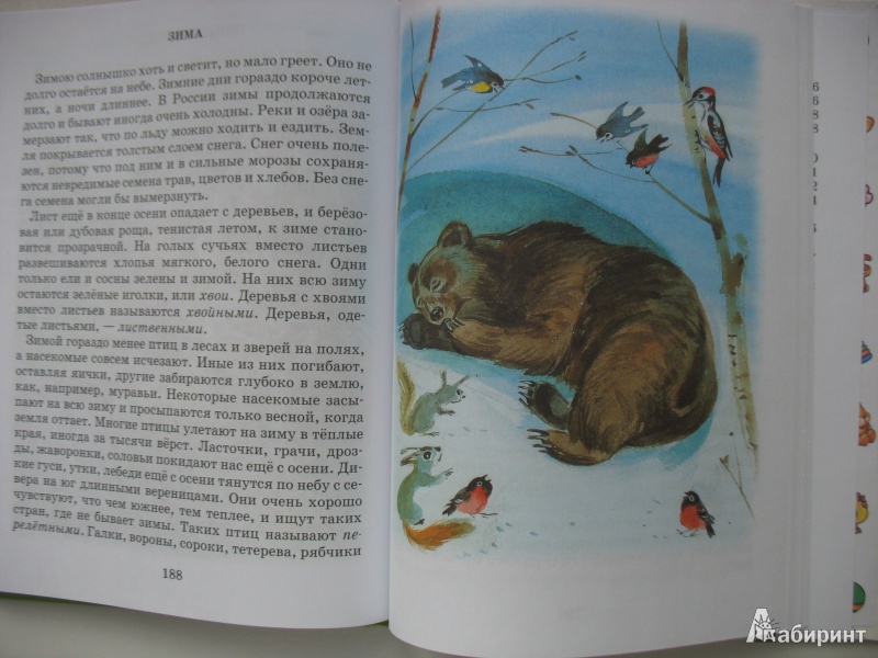 Иллюстрация 4 из 37 для Стихи и рассказы о природе | Лабиринт - книги. Источник: Tatyana_G