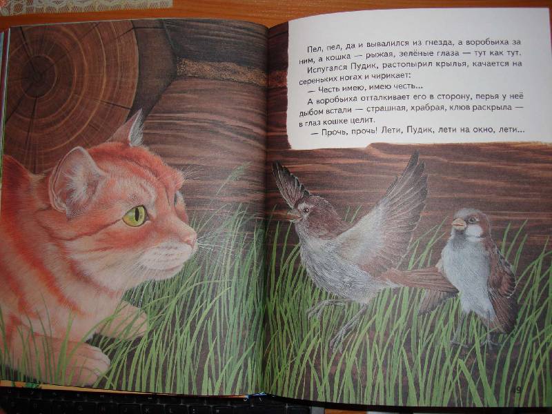 Иллюстрация 8 из 34 для Большая птичья книга | Лабиринт - книги. Источник: Нинуля
