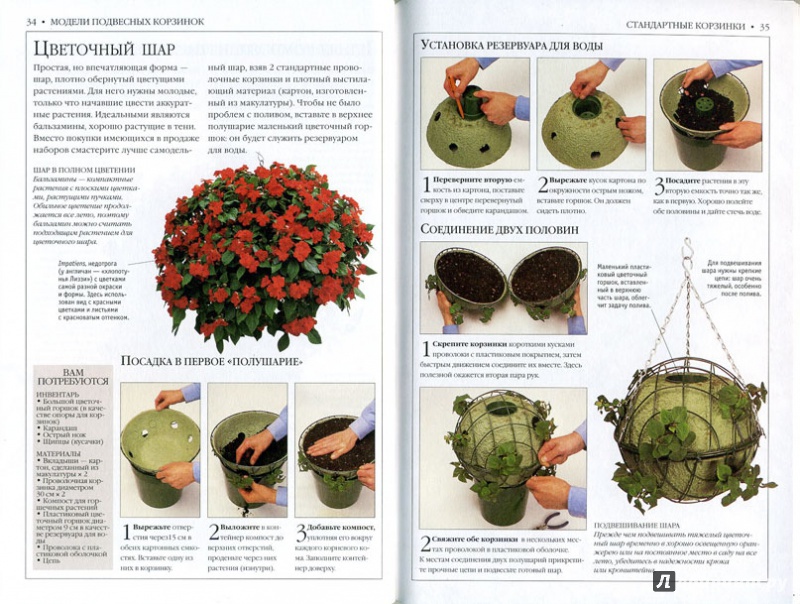 Иллюстрация 4 из 5 для Цветочные подвесные корзины. Практическое руководство - Дэвид Джойс | Лабиринт - книги. Источник: mayra